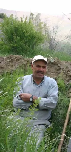 Ceviz ağacından düşerek öldü

