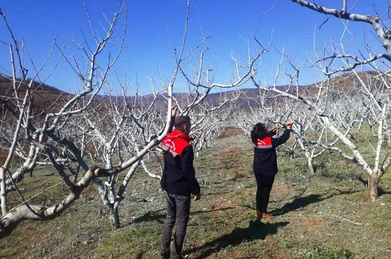 Çiftçilere bordo bulamacı uyarısı
