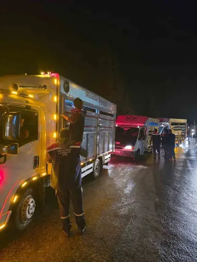 Çine Hayvan Pazarı denetimlerle yeniden açıldı
