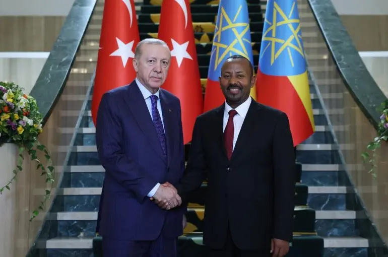 Cumhurbaşkanı Erdoğan: Afrika'da çatışma istemiyoruz