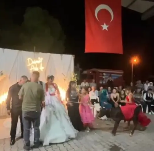 Damadın eniştesinden ilginç düğün hediyesi
