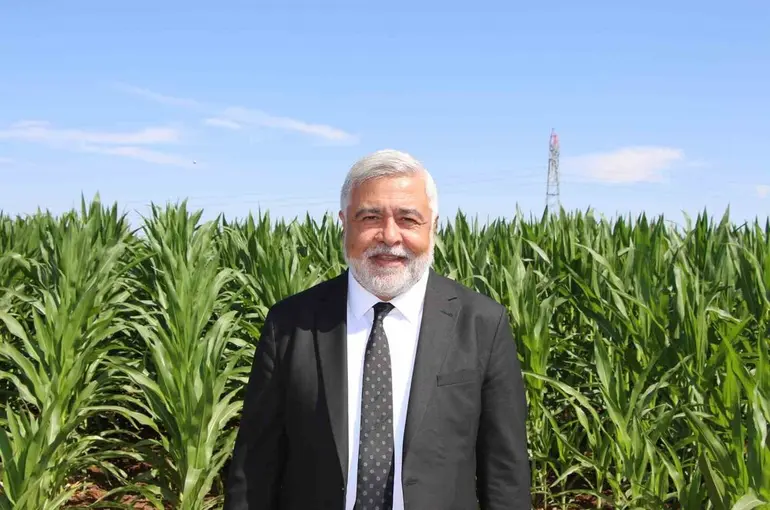 Dicle Elektrik Genel Müdürü Arvas: "Bölgede sorun elektrik değil, sulama"
