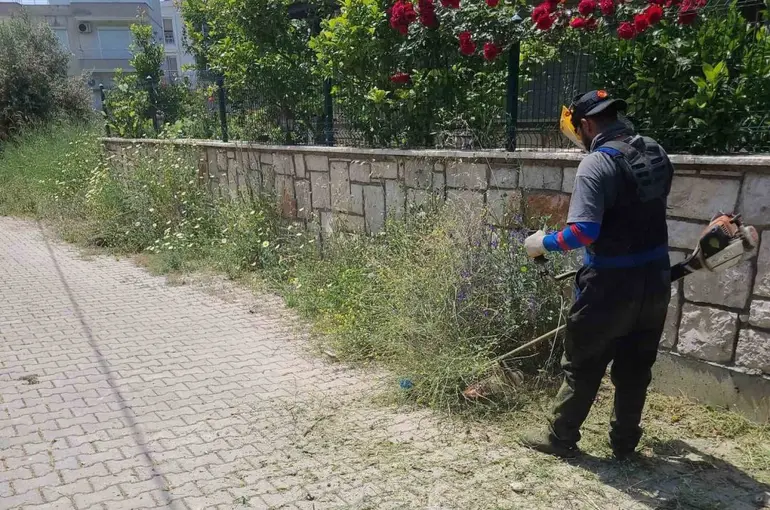 Didim Belediyesi ekipleri ilçe genelinde çalışmalarını sürdürüyor
