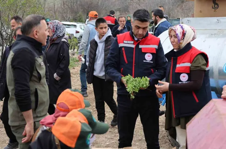 Dinar’da ‘Kekik Yetiştiriciliği Projesi’ devam ediyor

