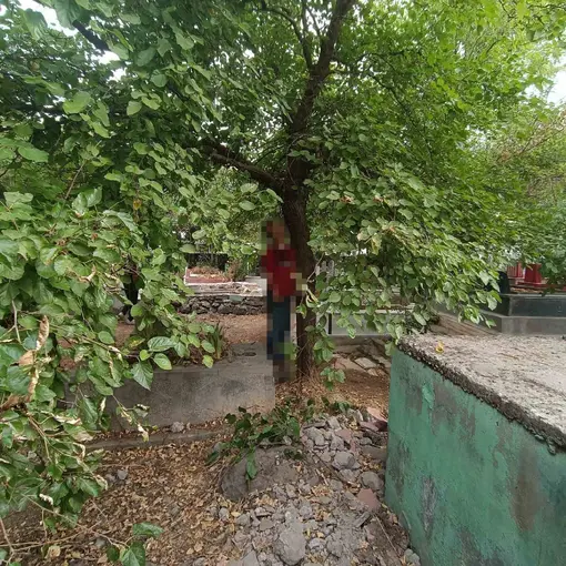 Diyarbakır’da bir kişi, mezarlıkta ağaca asılı halde ölü bulundu
