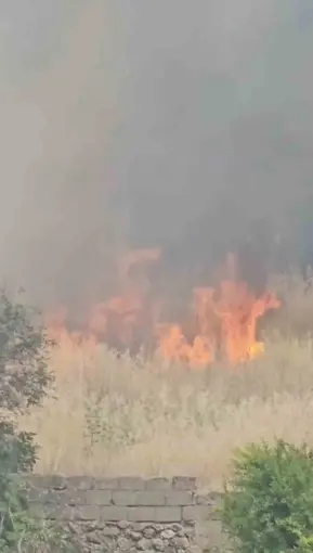 Diyarbakır’da yerleşim alanında çıkan yangın paniğe neden oldu
