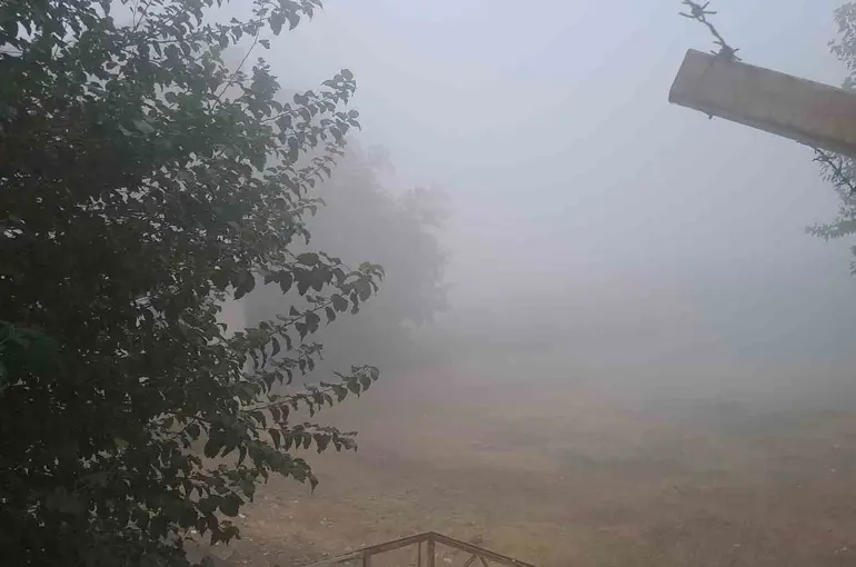 Diyarbakır’ın Silvan ilçesinde yoğun sis
