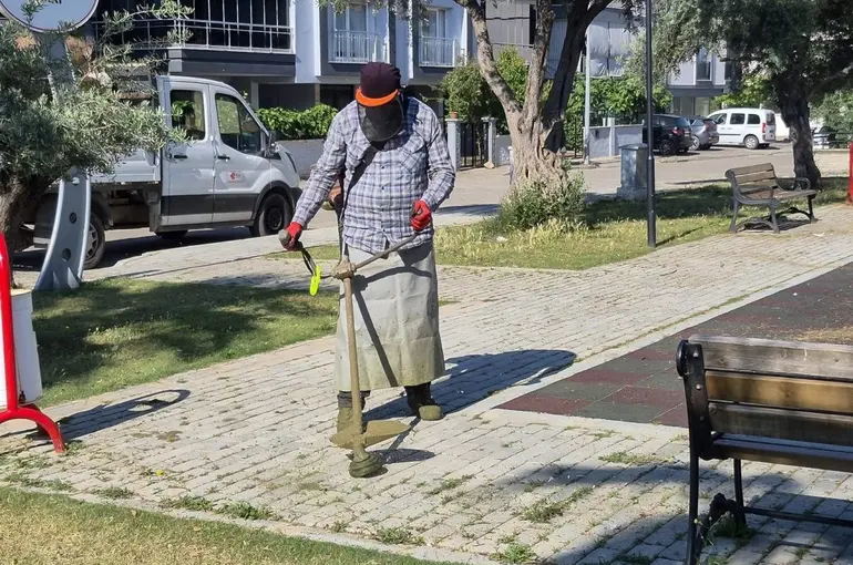 Efeler’de yeşil alanlarda yaz temizliği
