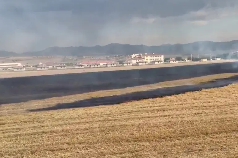 Elazığ’da anız yangını
