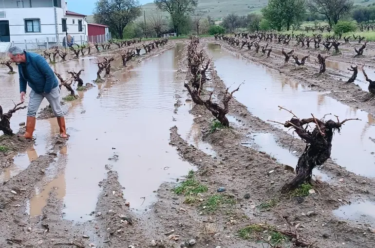 Elazığ’da dolu yağışı sonrası hasar tespit çalışması
