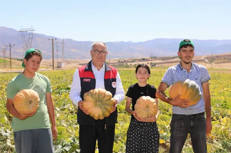 Elazığ’da kabak hasadı başladı: 4 bin tonun üzerinde rekolte bekleniyor
