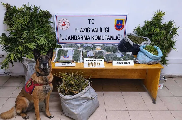 Elazığ’da uyuşturucu operasyonu: 3 tutuklama
