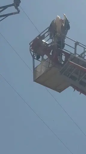 Elazığ’da yaralı leylek itfaiye tarafından kurtarıldı
