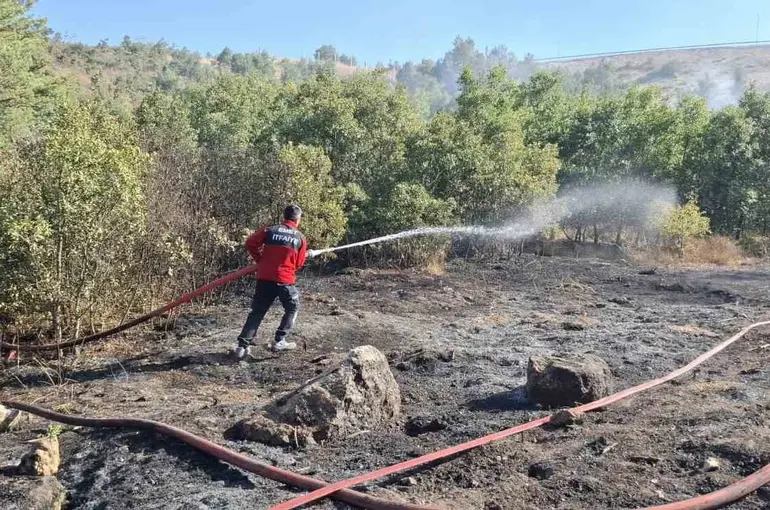 Emet’te dağlık alanda orman yangını
