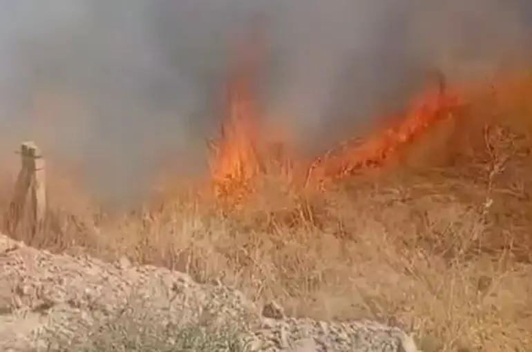 Ereğli'de çıkan iki ayrı yangın paniğe neden oldu