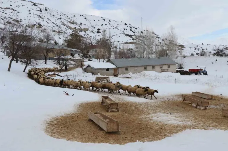 Erzincan’da çiftçilere kar ve tipi uyarısı
