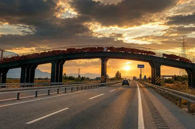 Erzincan’da hayvan sürülerine özel üst geçit
