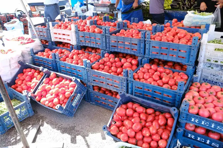 Erzincan’da salçalık domates ve biberler tezgahlarda
