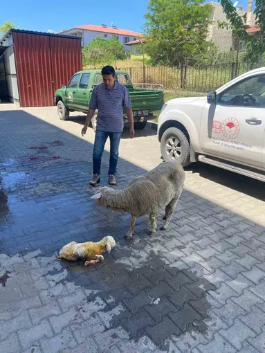 Erzincan’da zamanla yarış mutlu sonla bitti
