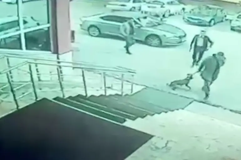 Erzurum Palandöken Kaymakamı ve korumasına soruşturma açıldı
