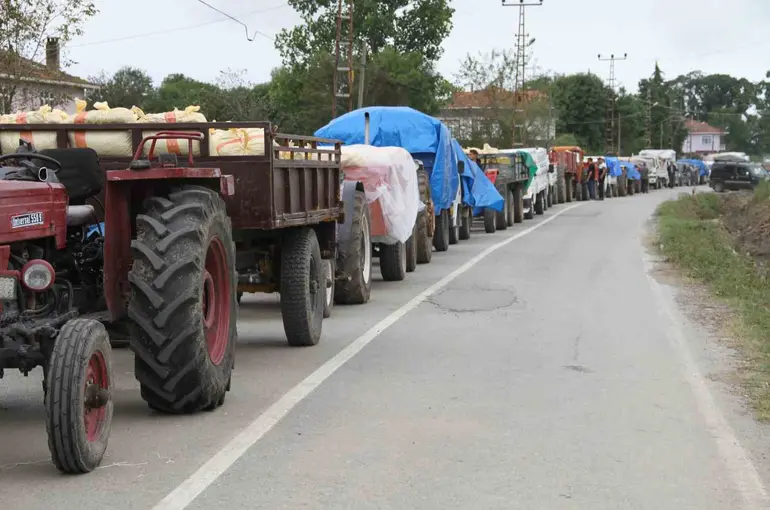 Fındık üreticisine uyarı: "Ürününüzü ayıklayın"
