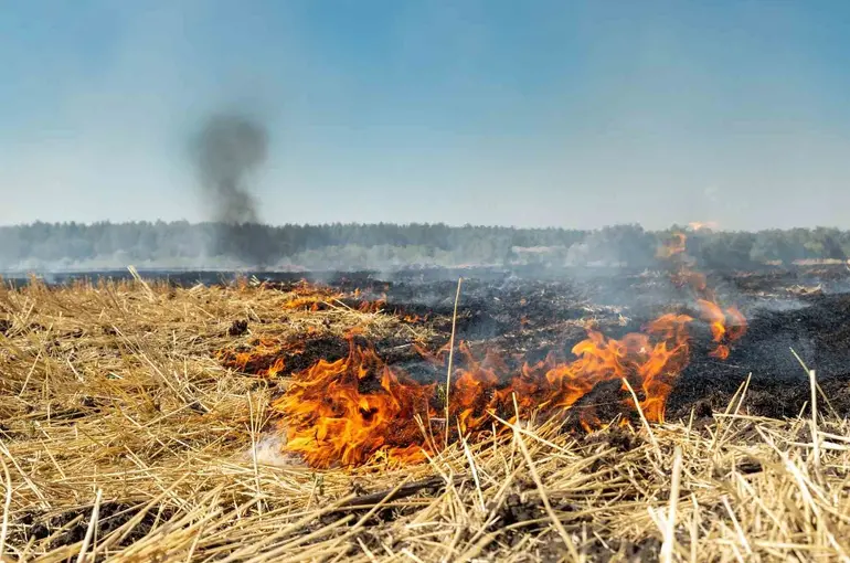 Fırat EDAŞ’tan anız yakma uyarısı
