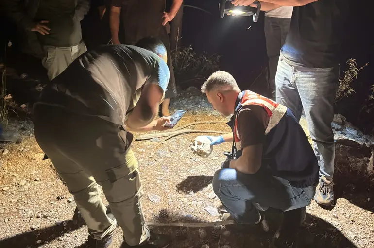 Gazipaşa’da ormanlık alanda kafatası bulundu
