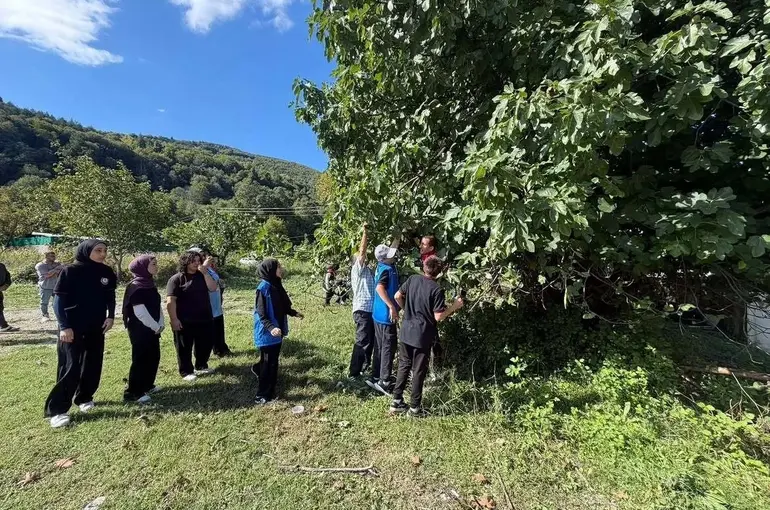 Gençlerin hasat heyecanı
