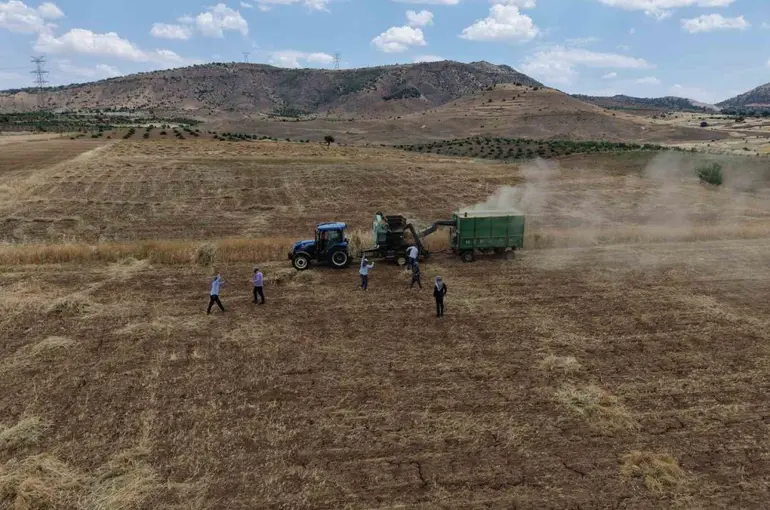 Gercüş’te kavurucu sıcakta ’oyun havalı’ hasat

