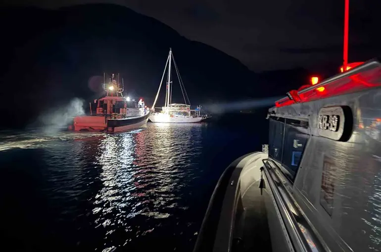 Gezi teknesine göçmen kaçakçılığı operasyonu
