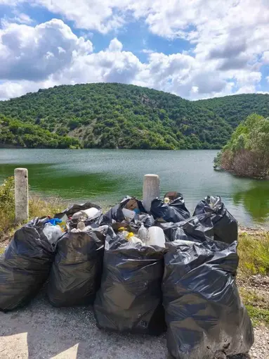 Göleti el birliğiyle temizlediler
