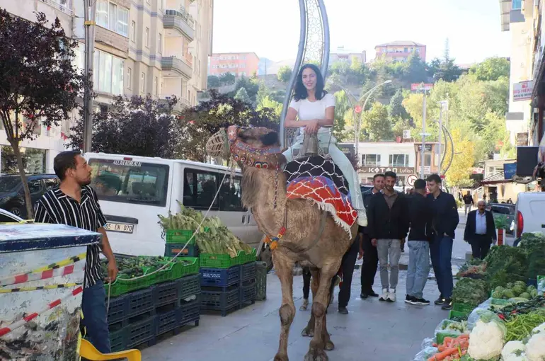 Hakkari’de deve ve midilli atları ilgi odağı oldu
