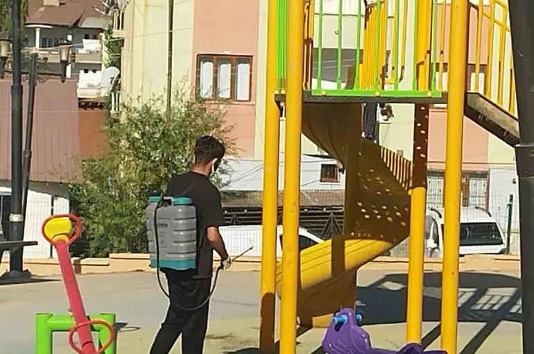 Hakkari’de kara sinekle mücadele sürüyor
