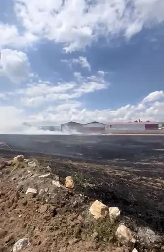 Hasat edilmiş buğday tarlasında çıkan yangın yerleşim yerlerine sıçramadan söndürüldü
