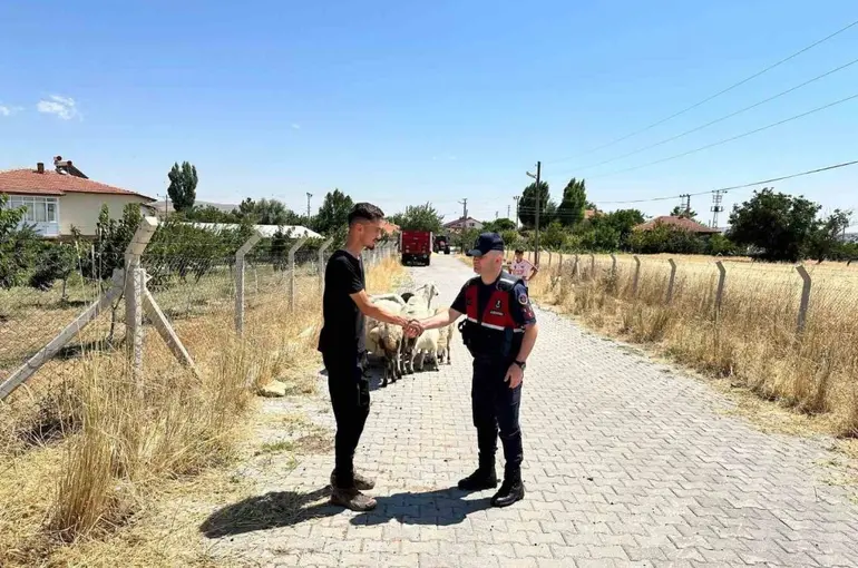Hayvanları kaybolan çiftçinin yardımına Jandarma ekipleri koştu
