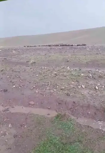 Iğdır’da sağanak ve dolu sonrası sel: Hayvanlar son anda kurtarıldı
