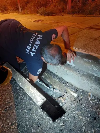 İskenderun’da mahsur kalan hayvanlar ekipler tarafından kurtarıldı
