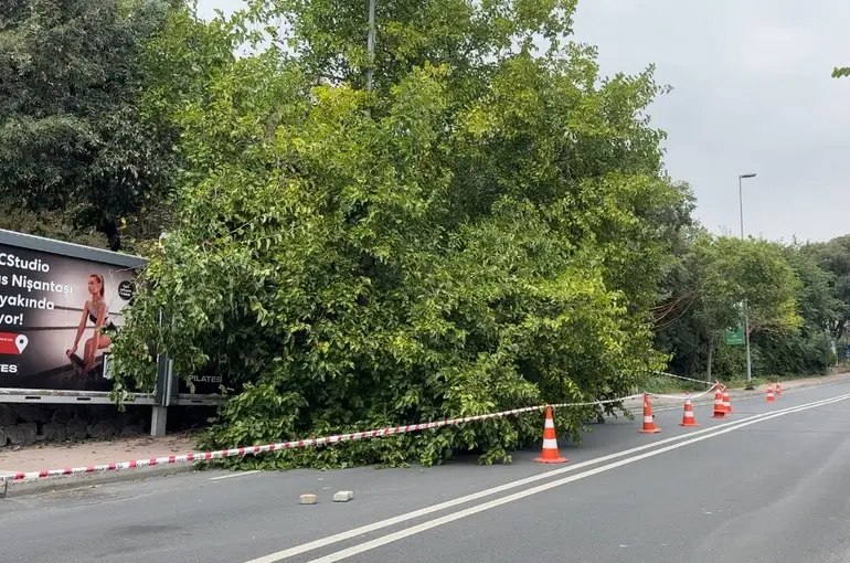 İstanbul’da yağış sonrası ağaçlar devrildi, rögarlar taştı
