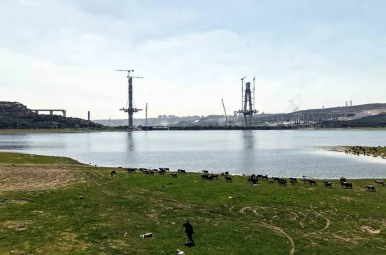 İstanbul’un yeni yüzü; köprü yükselirken keçiler merada
