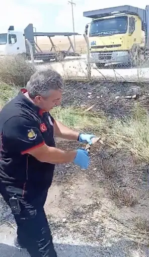 İtfaiye ekipleri yangından kurtardıkları kaplumbağayı suyla serinletti
