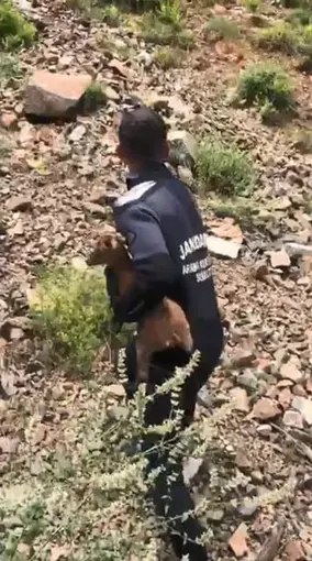 JAK dalgıçları sarp yamaçta mahsur kalan yavru keçiyi kurtardı
