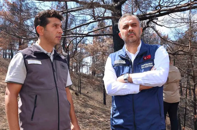 Kahramanmaraş’ta  yanan ormanlık alanlar fidanlarla buluşturulacak
