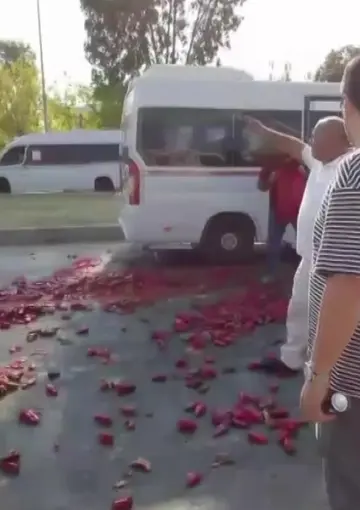 Kaldırım işgaline müdahale ettiler, ortalık biber tarlasına döndü
