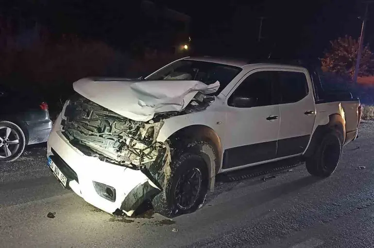 Kamyonetin çarptığı yaya hayatını kaybetti
