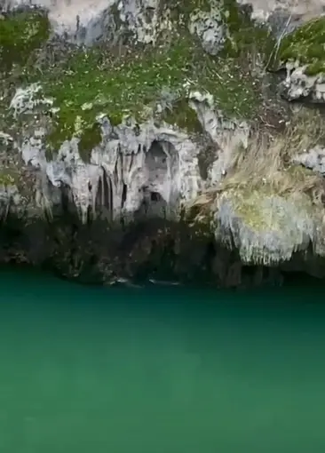Karakoçan’da su samurları görüntülendi
