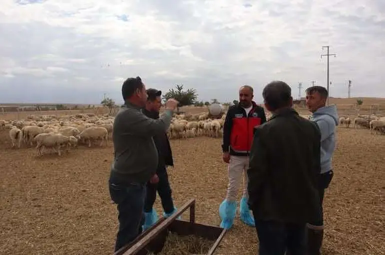 Karapınar'da Hayvancılık İşletmeleri Denetlendi