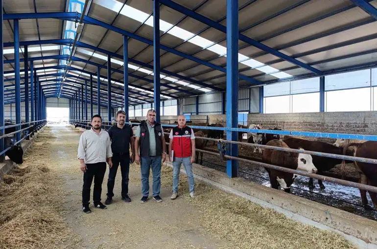 Karapınar’da ithal besilik sığırlara sıkı denetim
