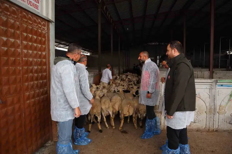 Karapınar’da kesimhanelere denetim