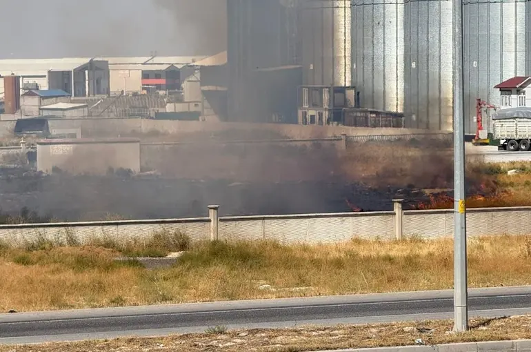 Karapınar'da ot yangını paniği