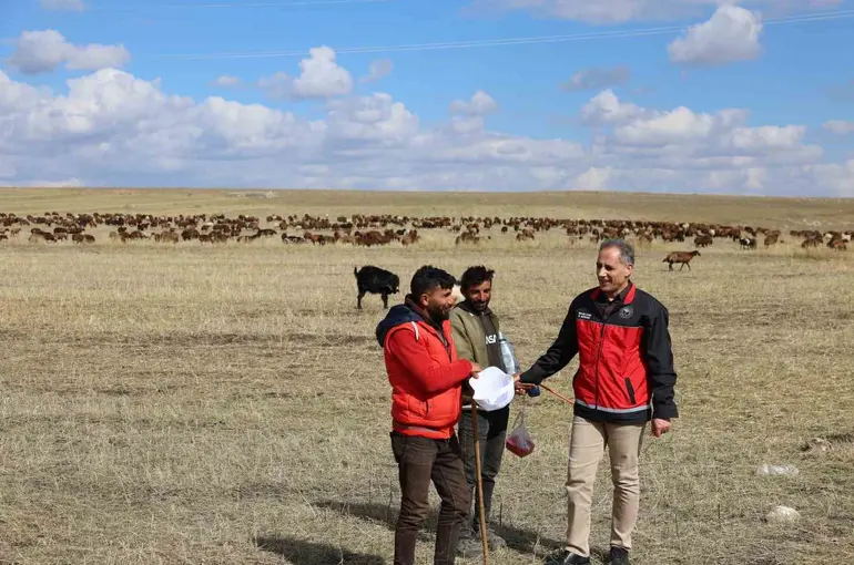 Kars’ta çobanlar sürülerinin başında alın teri döküyor
